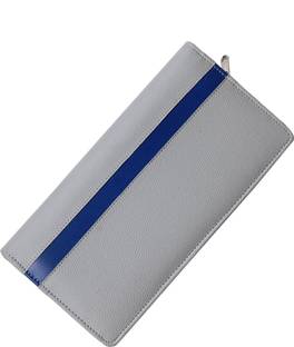 किट्टू Cheque book and passbook Holder silver with a perfect blue line