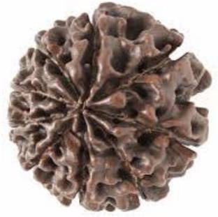 Durga gems 9 Mukhi Rudraksha Original Nepali beads Wood