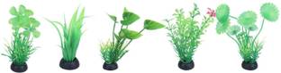 Jainsons Pet Products MINI PLANT COMBO 6 PCS Aquarium Plant Anchor