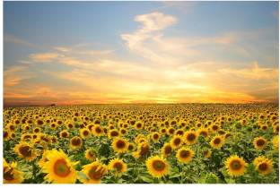 Wall Art Canvas Picture Print Sunflower field at sunset 3.2
