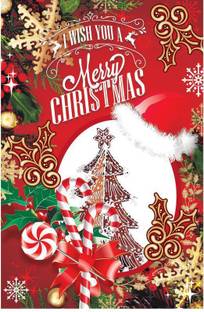 MERRY CHRISTMAS POSTER HI QUALITY I POSTER PRINT ON 13X19 INCHES Paper Print