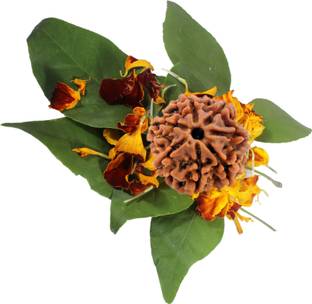 SHIVOHAM Mantra Siddha 7 Mukhi Rudraksha Wood Pendant