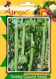 Airex Snake Gourd Seed