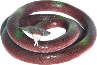 HOMESHOPEEZ Rubber Snake Gag/Prank Toy-F-Brw