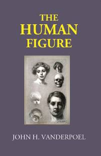 The Human Figure