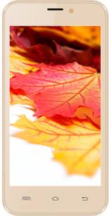 Intex Aqua Q8 (Champagne Gold, 8 GB)