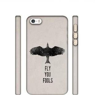 Casotec Back Cover for Apple iPhone 5