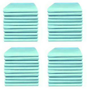 Health Track Disposable Underpad Pack of 40 pc Adult Diapers - L