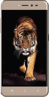 Coolpad Note 5 Lite C (Gold, 16 GB)