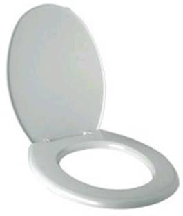 Parryware E82851C Western Commode