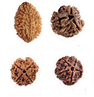 FASHION MART 100% original Real Rudraksha Beads (2 to 5 Mukhi) Wood Locket