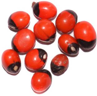 Generic 100 Seeds of Abrus Precatorius Rosary Pea John Crow Bead or Crab's eye Tree Seed