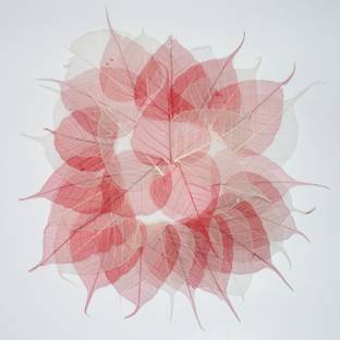 CRAFTWAFT FLORAL LEAVES