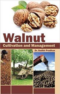 Walnut: Cultivation and Management
