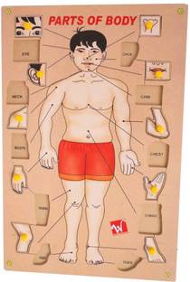 Toyvala Handcrafted Human Body Parts Peg Puzzle Picture Learning Board for Children Educational Toy Board Game Accessories