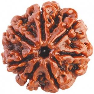 RUDRA DIVINE 100% Original 7 mukhi Rudraksha with lab Certificate 7 faced Real Rudraksha Bead with the Certificate of Authenticity size 18mm - 22mm Wood