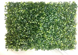 Badshah Craftsvilla Badshah1115191Villa Artificial Plant