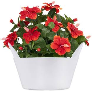 Sharpex Basket Type Flower Pot प्लांट कंटेनर
