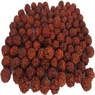 syed garden Rudraksha Seed