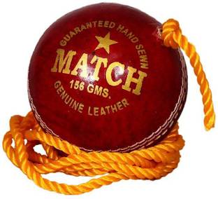TIMA Practice Leather Hanging Coaching Cricket Ball Cricket Training Ball