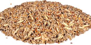 Pet Care love birds seed mix 11 types of seed mix Nuts 0.8 kg Dry Adult Bird Food