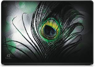 Anweshas Printed on 3M Vinyl, Premium Quality, HD, UV Printed, Laminated, Bubble Free, Scratchproof, Washable, Easy to Install Laptop Skin/Sticker/Vinyl/Cover for 13.1, 13.3, 14.1, 14.4, 15.1, 15.6 inches (BlackFeather) vinyl Laptop Skin Compatible for 15.6 inch