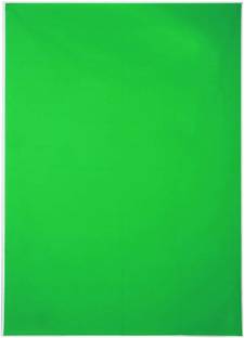 SS Green LEKERA Backdrop Photo Light Studio Photography Background (8 x 10 FT) Reflector