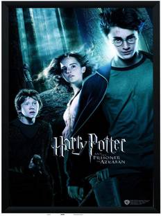 WB Official Licensed Harry Potter Prisoner of Azkaban Movie Poster A4 Frame Paper Print