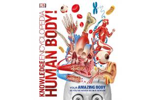 Knowledge Encyclopedia Human Body!