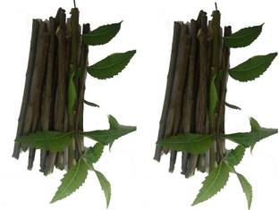 KAYKON Fresh Organic Neem Datun Chew Sticks Neem Twigs For Better Tooth, Gems, Fresh Breath And Health (30 Pc) Toothpaste