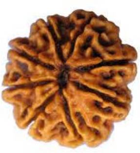 Durga gems Original Eight Face Rudraksha (8 Mukhi Rudraksha) Nepali beads Wood Pendant