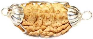 Aadigange 1 Mukhi Rudraksh WithGold Platted Cap 30mm Wood