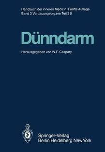 Duenndarm B