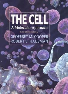The Cell