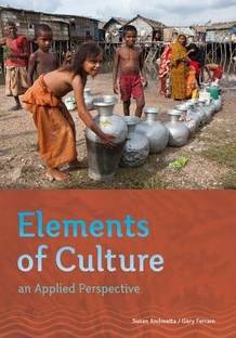 Elements of Culture : An Applied Perspective