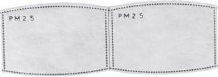 PureMe Pack of 2 PM2.5 Filters with Activated Carbon layer for Washable Mask PM2.5 Filter
