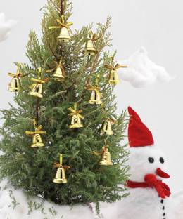 SkyAsia 3706J Ornamental Bells Pack of 12