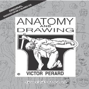 Anatomy & Drawing