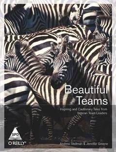 Beautiful Teams Inspiring and Cautionary Tales from Veteran Team Leade
