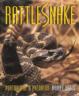 Rattlesnake