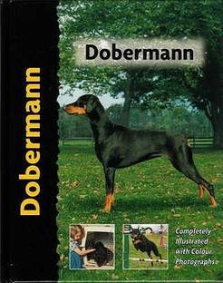 Dobermann
