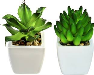 SHIVEXIM Artificial plant Pot combo for 2 pcs Bonsai Artificial Plant  with Pot