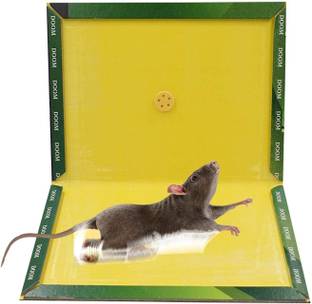 TASHKURST Mouse/Rat Lizard Trap, Rat Catcher Adhesive Sticky Glue Pad- Non Poisonous - Non Toxic - Odourless - Rat Terminator-Green-10Pc Live Trap