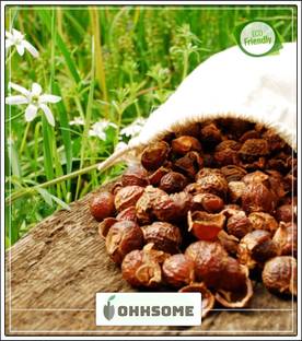 OhhSome Tree Seeds Kukudu-Kayalu, Kungititkaya, Kunkudu-Chettu Notched Leaf Soapnut Herb Seeds For Growing Tree Seeds Garden Pack Seed