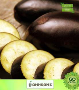 OhhSome Vegetable Seeds Vaingan Seeds - Brinjal Seeds Heirloom Veg Seeds Gardening Plants Seeds Home Garden Seeds Seed