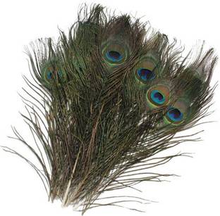 CRAFTWAFT Pack of 20 Decorative Feathers