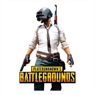 AH Decals 40 cm PUBG PLAYER UNKNOWN'S BATTLEGRAOUNDS Removable Sticker