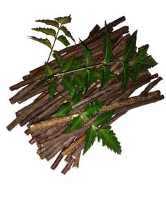 Puspa || NEEM - Datun|Twig|Datwan|Stick || 30 pcs. || Medium Toothbrush