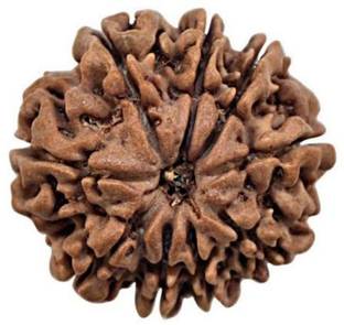 ओम रुद्राक्ष 8 mukhi rudraksha लकड़ी लॉकेट