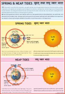 Geography charts - Spring and Neap Tides Paper Print
